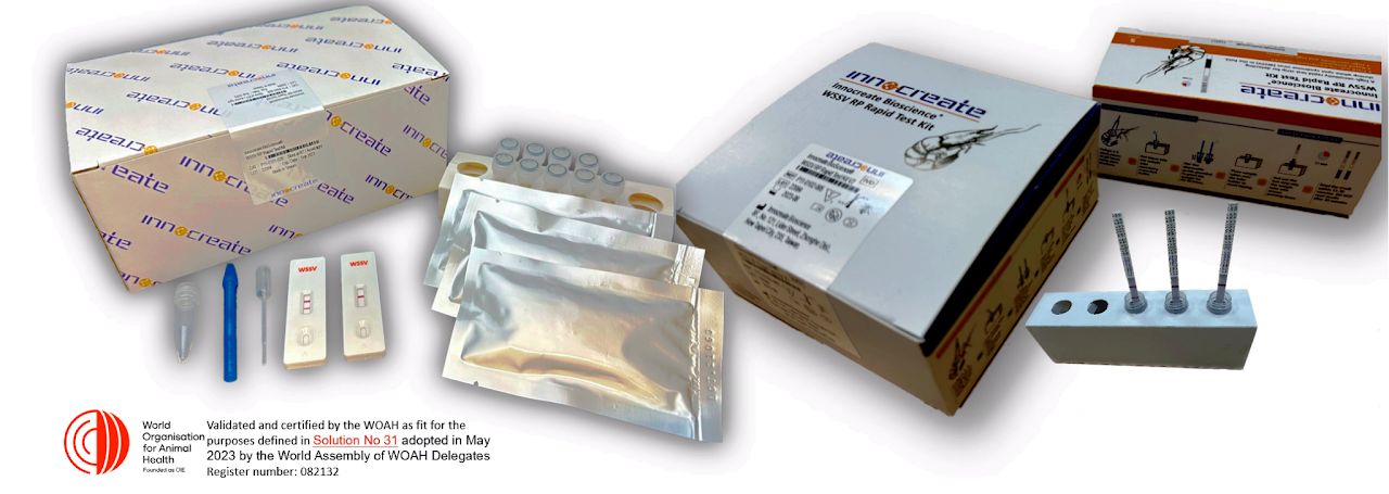 The Innocreate WSSV Rapid Test